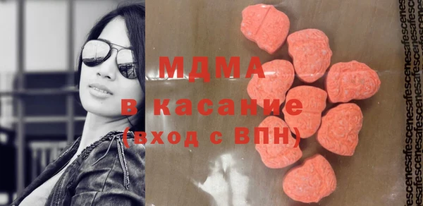 индика Алексин