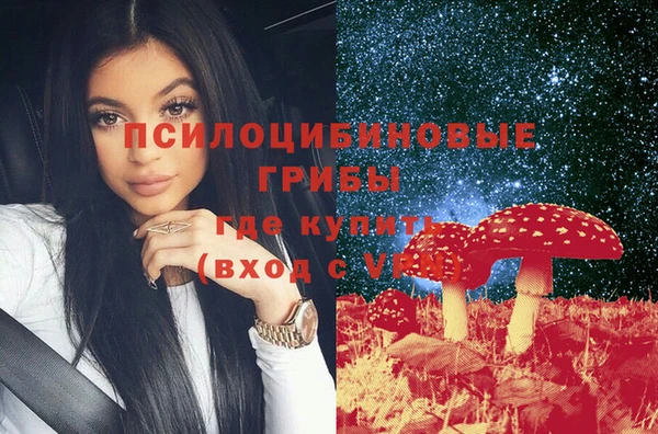 стаф Абаза