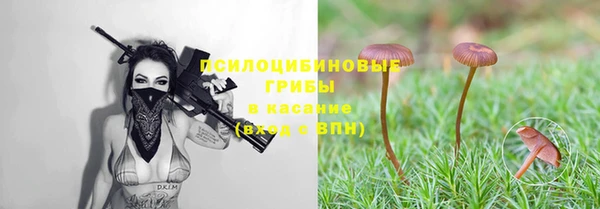 стаф Абаза