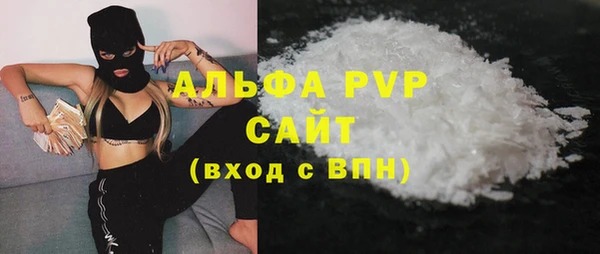 индика Алексин