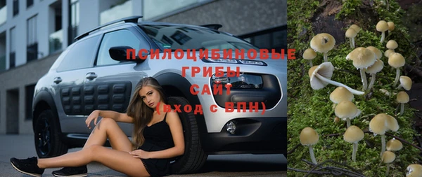 стаф Абаза