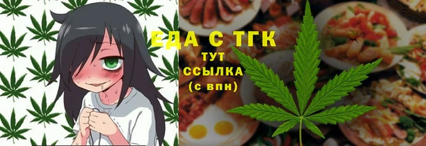 индика Алексин